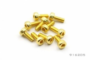 써펀트코리아,HEX SOCKET CAP SCREW M2x2.5 (10) GOLD (#S-916205-GD)