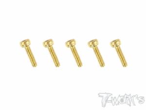 써펀트코리아,2x10mm Gold Plated Steel Hex. Socket Head Screws（5pcs.) (#GSS-210H)