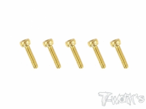 써펀트코리아,2x12mm Gold Plated Steel Hex. Socket Head Screws（5pcs.) (#GSS-212H)