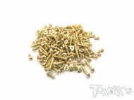 Gold Plated Steel Screw Set 97pcs. ( For Xray T4F ) (#GSS-T4F)